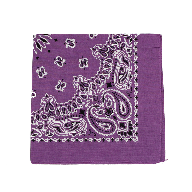 힙합 남자 두건 스카프 인쇄 페이즐리 블루 그린 퍼플  - Handkerchief Cotton Men 리뷰 및 가격