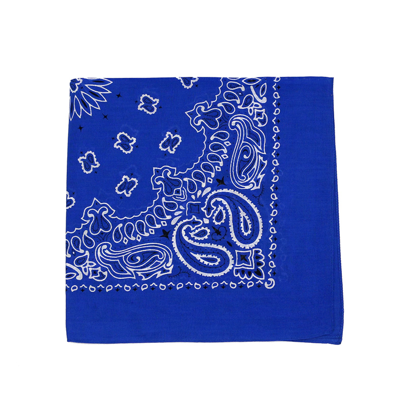 힙합 남자 두건 스카프 인쇄 페이즐리 블루 그린 퍼플  - Handkerchief Cotton Men 리뷰 및 가격